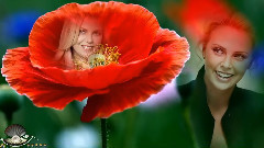 ЧУДО МОЯ ЖЕНЩИНА Игорь Корнилов