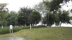 Spring Water(春水)