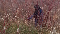 MANI NASRY DIRECTING & PRODUCING REEL