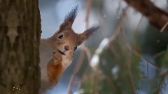 Nikos Ignatiadis Inspiration