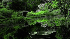 Amethystium MEADOWLANDHD