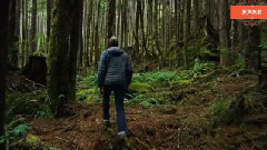 小林杰被情所困