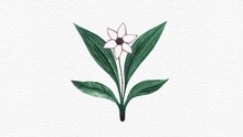 12点 25分 (Wish List) 试听版