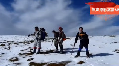 午夜财神来报喜