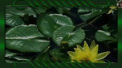 Красивейшая инструментальная музыка!