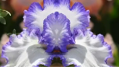 Красивейшая инструментальная музыка для души!