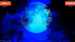 用你的肉体取暖