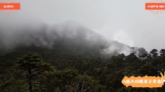 小林杰应聘演员奇遇记