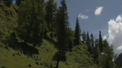 敖包相会 古筝独奏