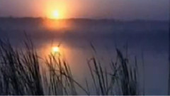 满山红叶似彩霞简谱_满山红叶似彩霞图片