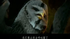 影视原声 - 电影<猫头鹰王国:守卫者传奇> 精彩中文片段之2