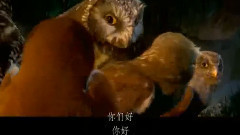 影视原声 - 电影<猫头鹰王国:守卫者传奇> 精彩中文片段之7