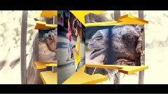 Новосибирск ЗооПарк слайд