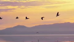 人间仙境之海之蓝(第四集)