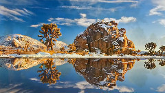 秘密花园的倒影