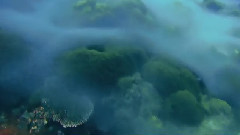 Underwater Indonesia - Alor and Komodo November 2011