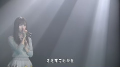 红豆