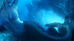 Bright Colors - Blue - Merry Christmas & Happy New Year