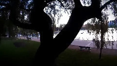 Porket -European Run