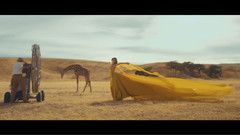 Wildest Dreams
