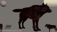 影视原声 - 电影<暮光之城2:新月> 制作特辑之The Wolf Pack