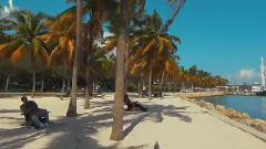 美国迈阿密城市风光