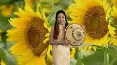 野花不要采