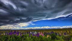 新西兰风光 时光流逝