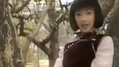 鸳鸯谱 1988