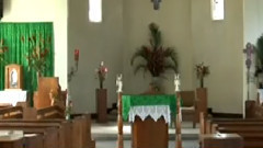 灯月交辉 古筝版