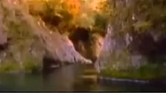 梁祝 中国小提琴演奏完整版