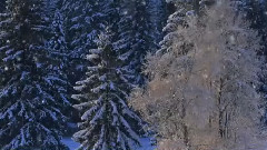 莎拉.布莱曼 Winter Light