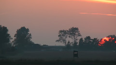 raw footage for one day on earth