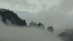 采茶扑蝶笛子简谱_采茶扑蝶简谱(3)