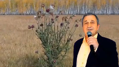 Отговорила роща золотая МихаилКиселёв