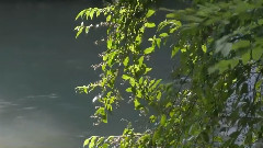 Prova Settaggi Canon Legria