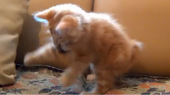 ТИМКА Видеосъёмки Михаила