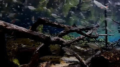 СУПЕР ПОДВОДНЫЙ МИР