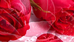 Lucas Kirby - Cannon in E