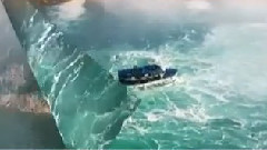 新春贺岁过新年