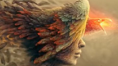 2015年度最佳舞曲