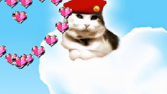 SIR SNOWY THE ITALIAN-CATS-A-NOVA'S DREAM