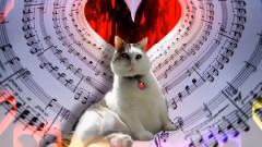 Sir Snowy's You Make'a My Heart Sing Tour