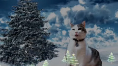 SNOWY THE ITALIAN CATS-A-NOVA DIVING INTO A MARSHMALLOW WORLD