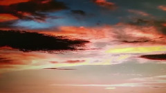 Autumn On Fire In The Winter