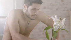 Rota