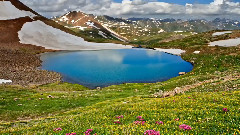 双星精灵 - 甜甜的姑娘