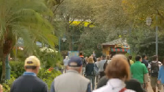 橙色,加利福尼亚(下)Orlando, Florida