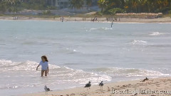 迈阿密,佛罗里达州 上