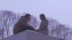 影视原声 - 电视剧<梅花档案2>片尾曲